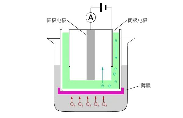 溶氧电极原理 溶氧电极原理