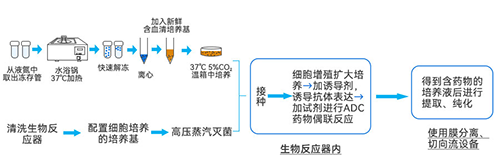 综合反应流程 综合反应流程